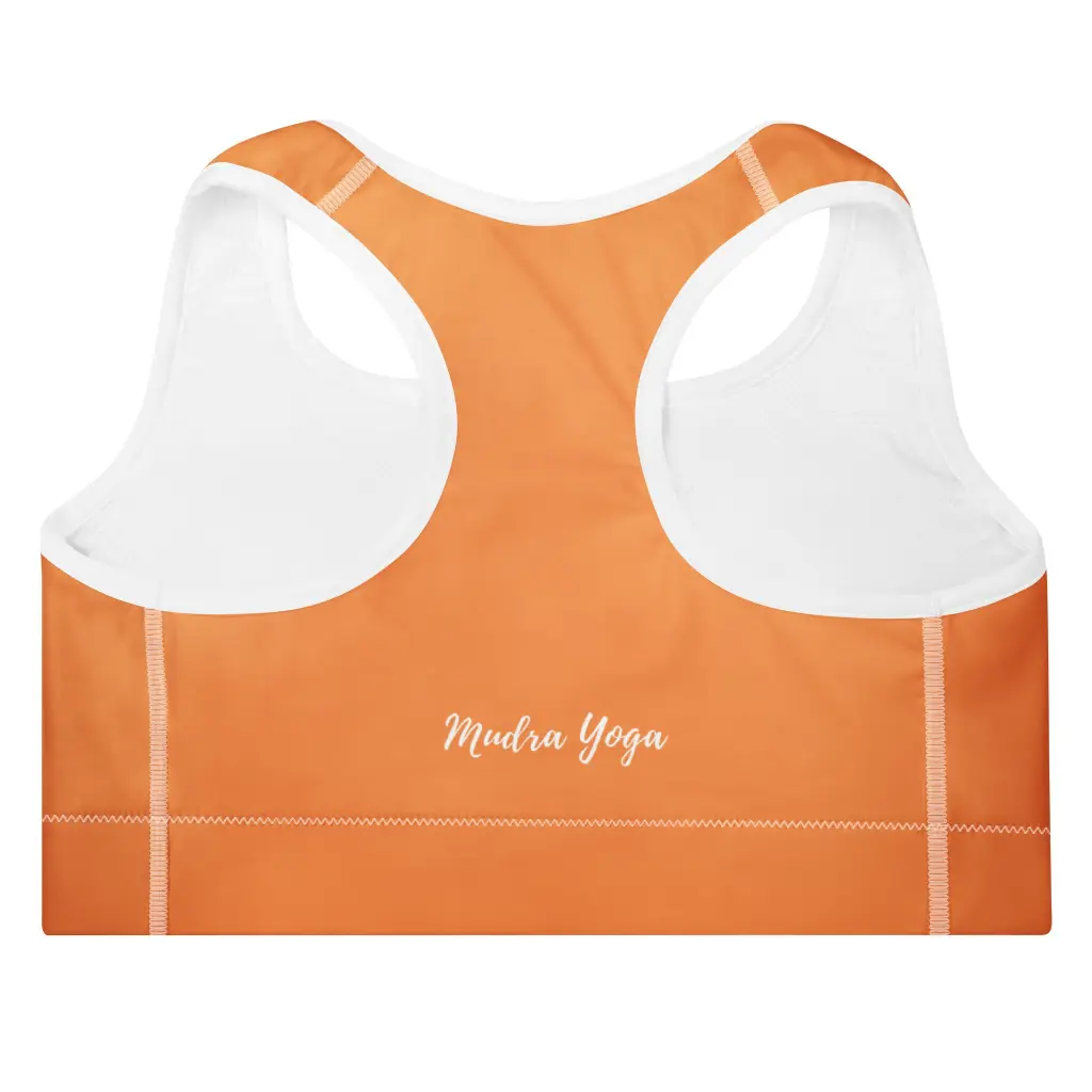 all-over-print-padded-sports-bra-white-back-6818b17d772dd.webp